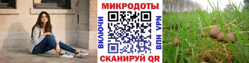 Псилоцибиновые грибы прущие грибы площадка наркотические препараты Норильск