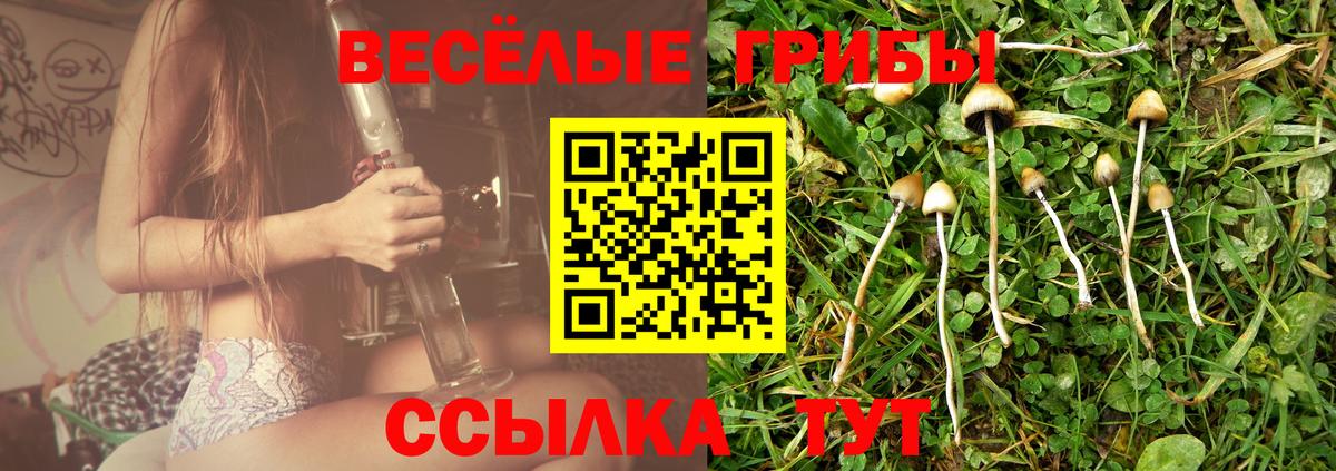 Галлюциногенные грибы GOLDEN TEACHER  Вход с VPN  Псилоцибиновые грибы ЛСД  Норильск 